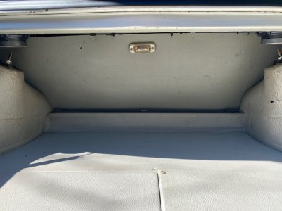 Trunk.jpeg