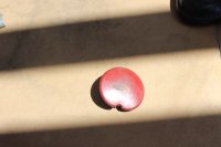 IMG_7934.JPG