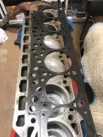 Head Gasket.JPG