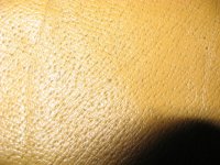 IMG_0003.JPG