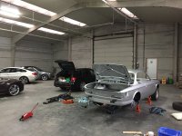 IMG_7593.jpg