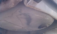 IMAG0333.jpg