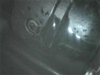 Image-1.jpg