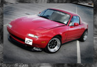 Raised bonnet.jpg