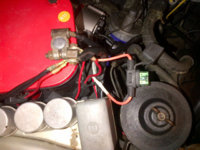 IMG-20111231-00174.jpg