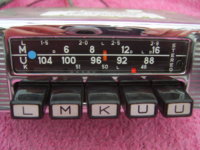 SV105161 (2).JPG