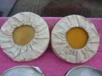SV105318.JPG