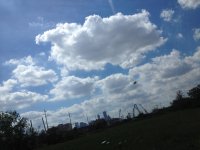 IMG_2157.jpg