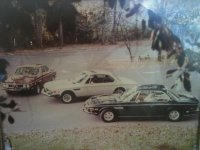 3 coupes.jpg
