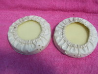 SV106102.JPG