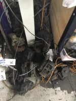 5768DEED-0E2D-4D2F-82D4-D362947890D7.jpeg