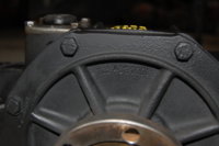 DSC_1873.jpg