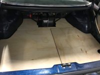 trunk3.jpg