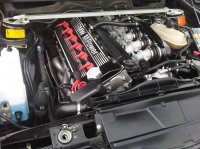 IMG00405-20111011-1141.jpg