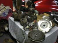 DSCN2941.jpg