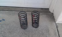 rear springs.jpg