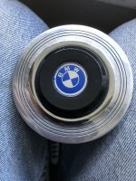 Horn button.jpg