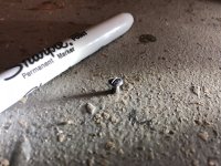 Tiny screw.jpg