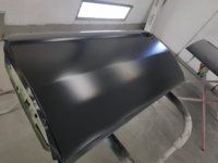Poly Painted LH Door.jpg