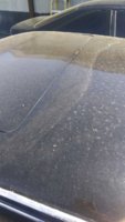 20190318_122057.jpg