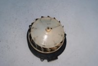DSC00362.JPG