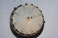 DSC00364.JPG
