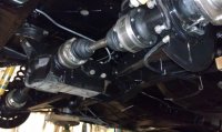 rear up1.jpg