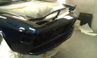 first coat13.jpg