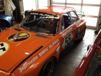 Alpinarebtrand.jpg Alpinarebtrand.jpg