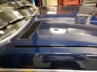 hood resting closed.jpg