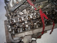 IMGP1297.JPG