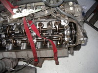 IMGP1298.JPG