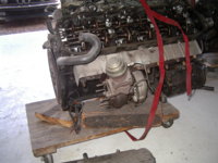IMGP1299.JPG