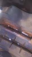 20190613_105338.jpg
