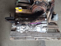 20190614_124916.jpg