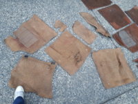 20190626_204546.jpg