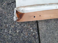 20190626_204943.jpg