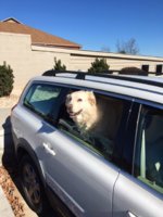 kota last ride.JPG