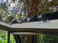 roof open.jpg