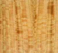 EUCALYPTUS^QUARTERED_FIGURED.jpg