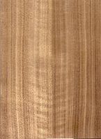 WALNUT^QUARTERED[4.jpg
