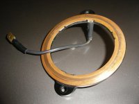 horn ring 003.jpg