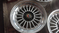 wedsalp-03.jpg