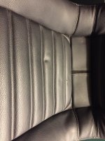IMG_3125.jpg