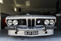 BMW five bar grill.jpg