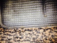 carpet1.jpg