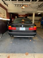 IMG_02391.jpg