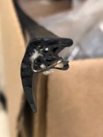 Unknown Seal Location.jpg