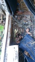 IMG-20200227-WA0010.jpg