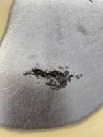 IMG_2311.jpeg IMG_2311.jpeg